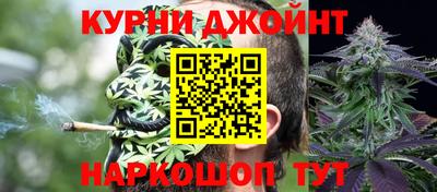прущие грибы Аргун