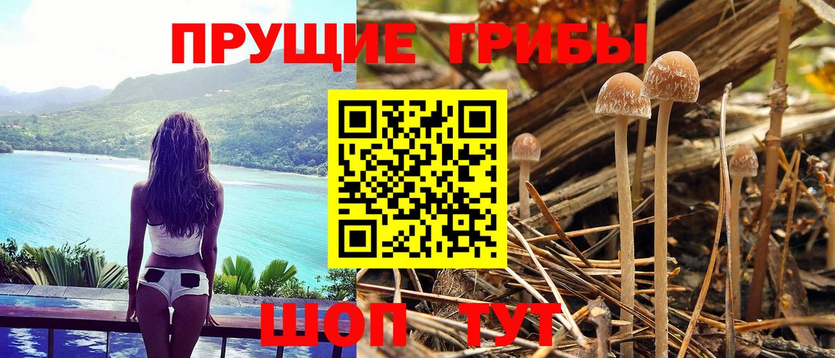 Галлюциногенные грибы прущие грибы  Псилоцибиновые грибы Magic Shrooms  Вход с VPN  Вязники 