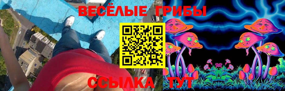 Псилоцибиновые грибы мицелий Вязники